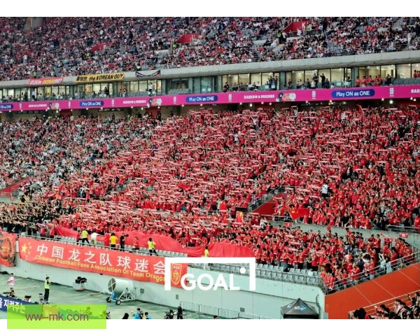 首尔足球俱乐部死忠看台，歌声旗帜与忠诚信仰交织
